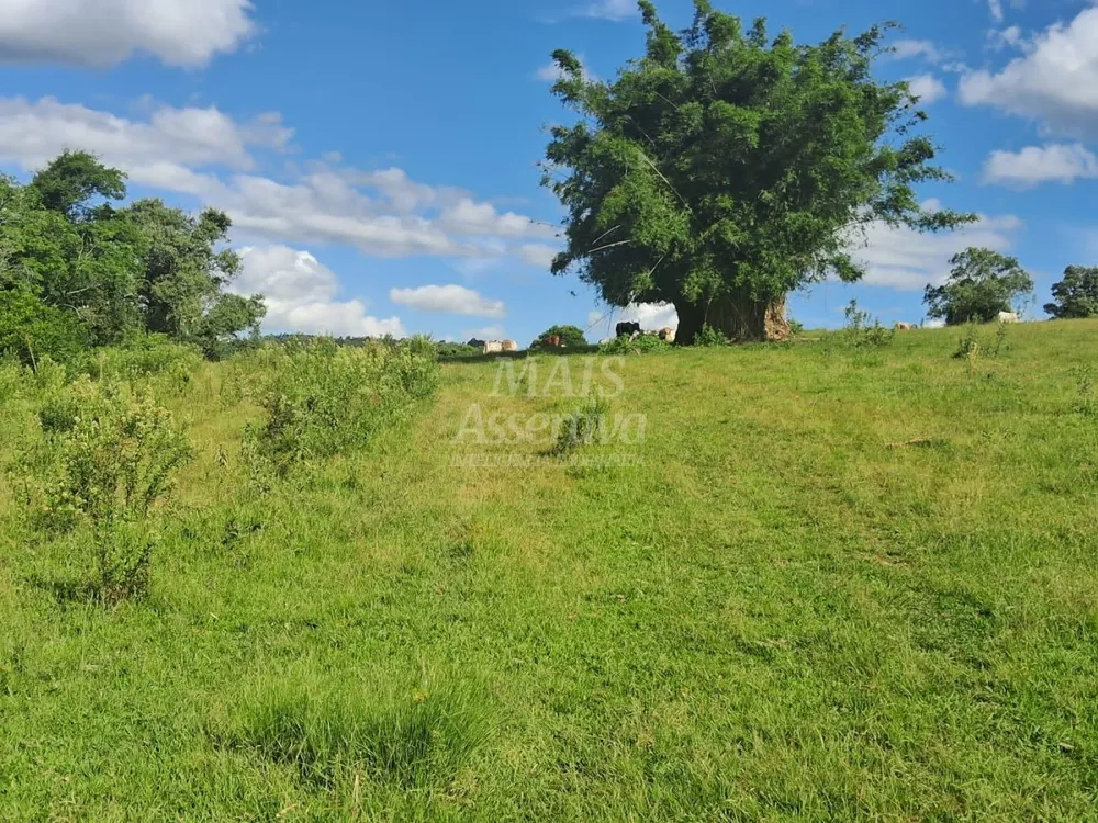 Terreno, 57 hectares - Foto 3