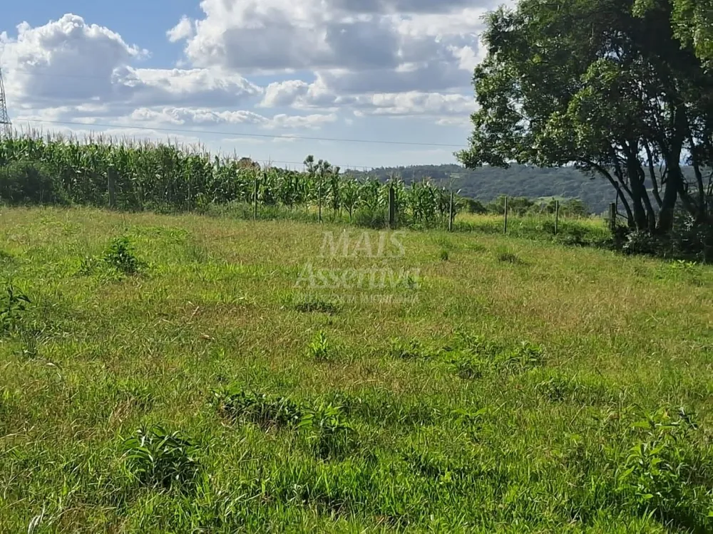 Terreno, 57 hectares - Foto 6