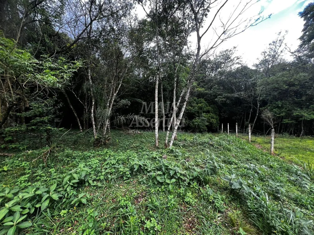 Chácara, 5000 m² - Foto 10