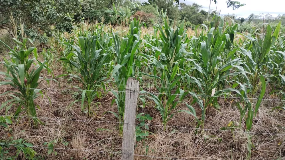 Chácara, 3700 m² - Foto 3