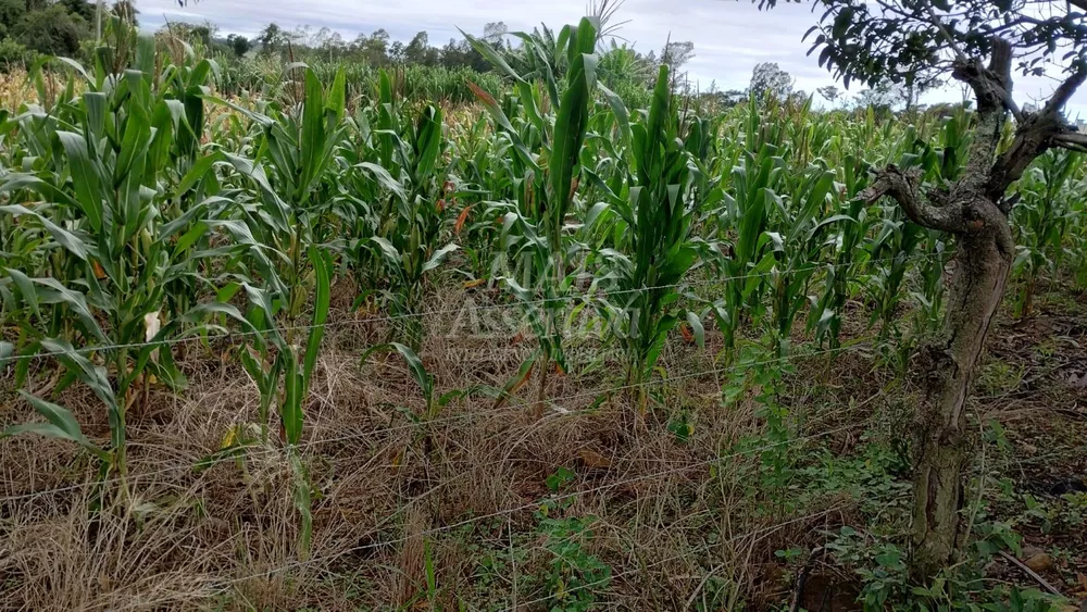 Chácara, 3700 m² - Foto 1