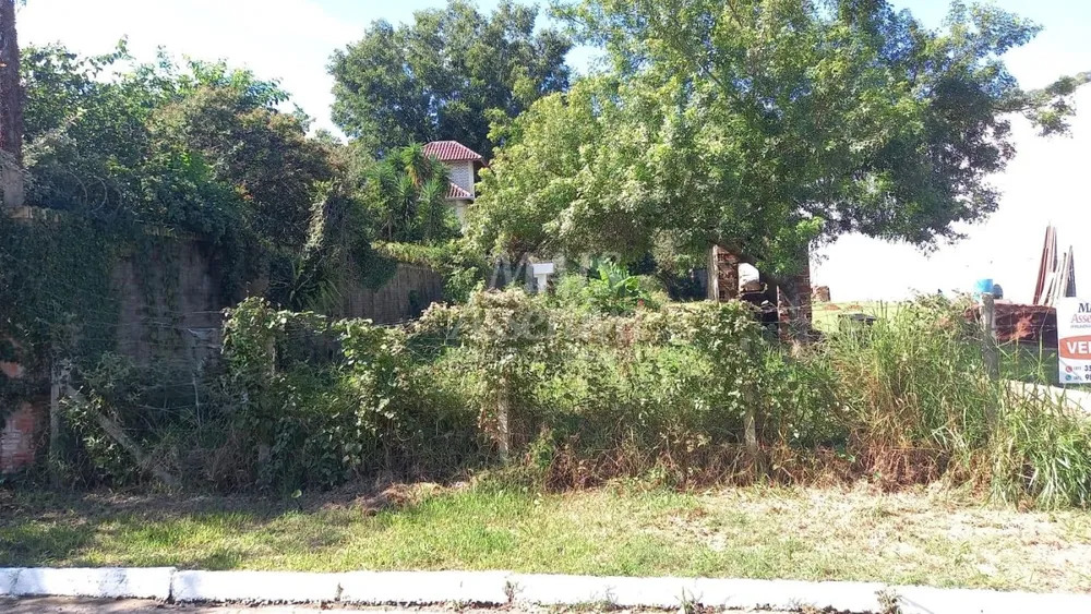 Terreno - Foto 2