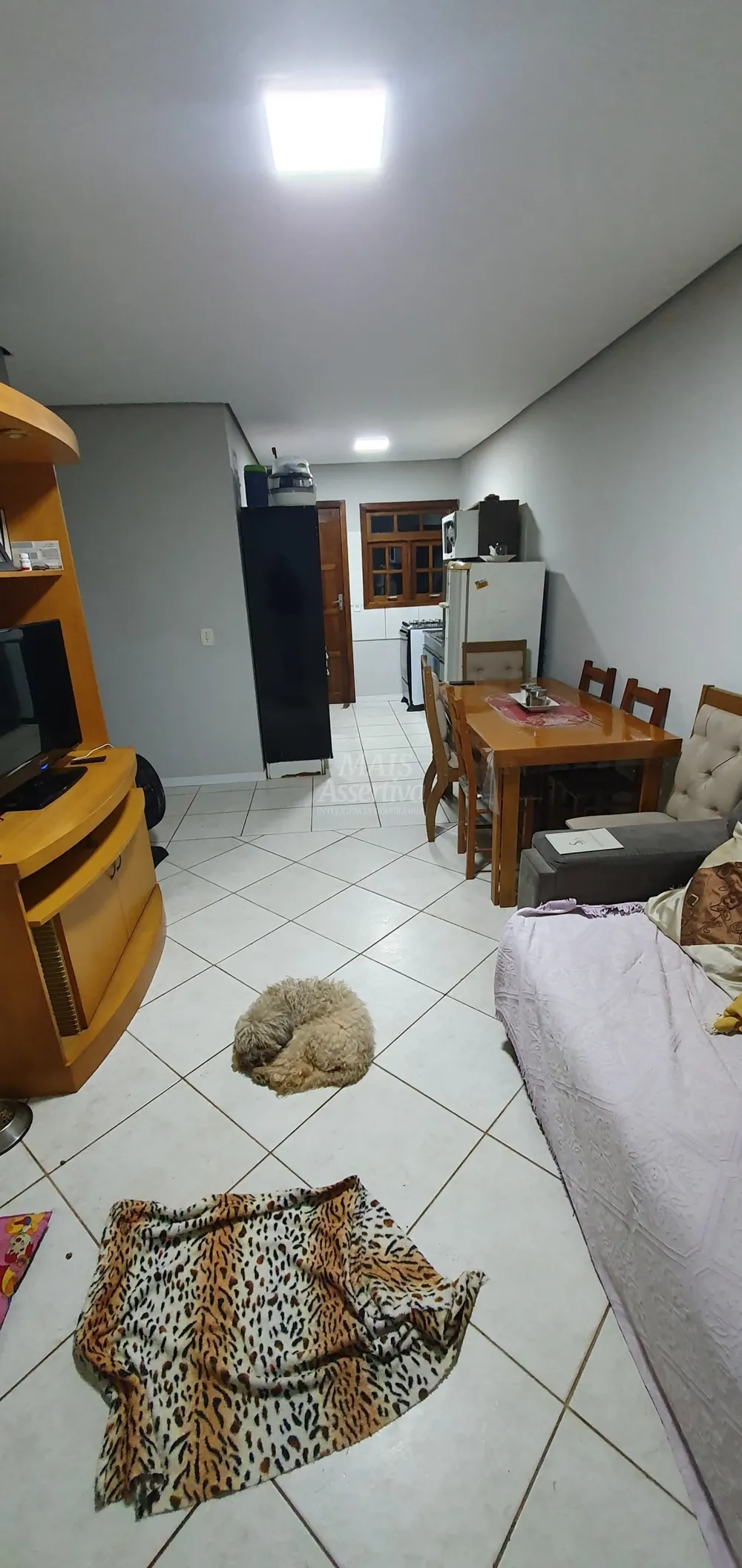 Terreno - Foto 3