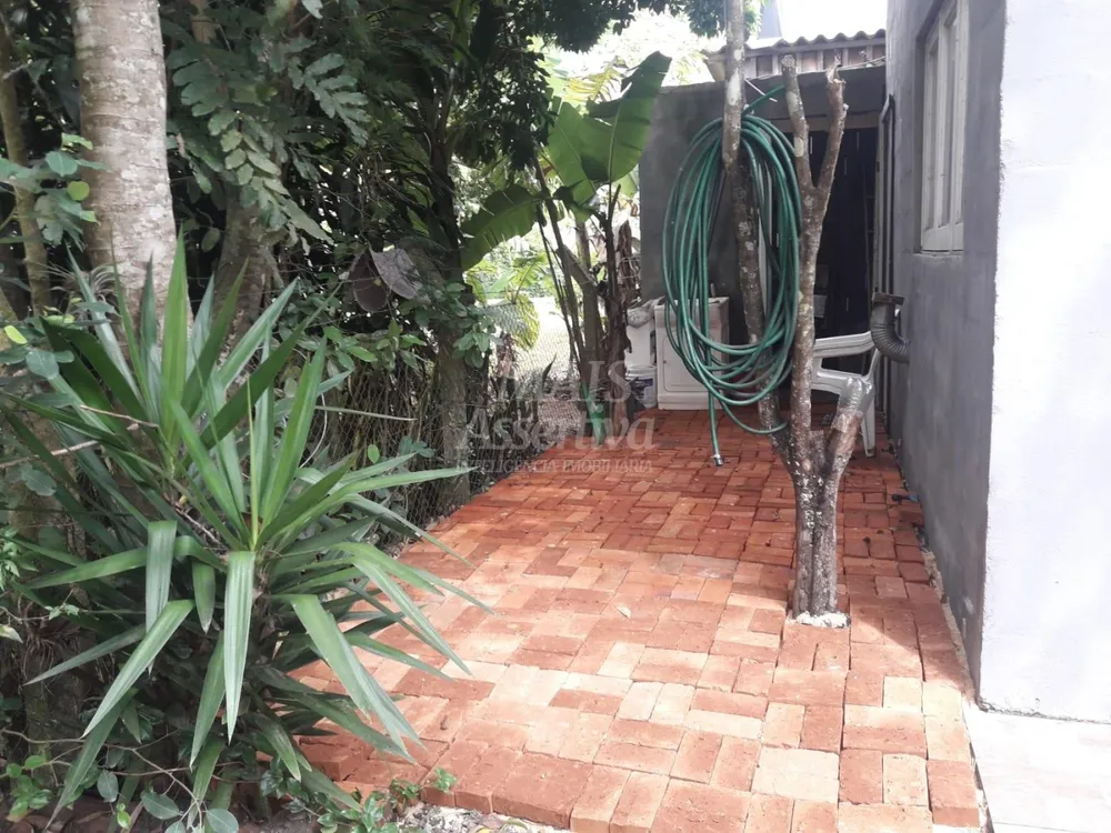 Sítio, 600 m² - Foto 4