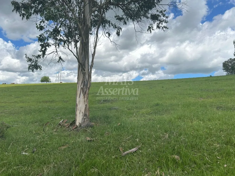 Fazenda, 8 hectares - Foto 3