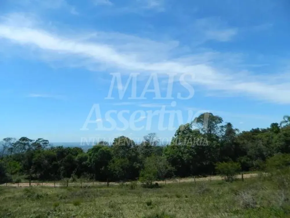 Chácara, 14 hectares - Foto 6