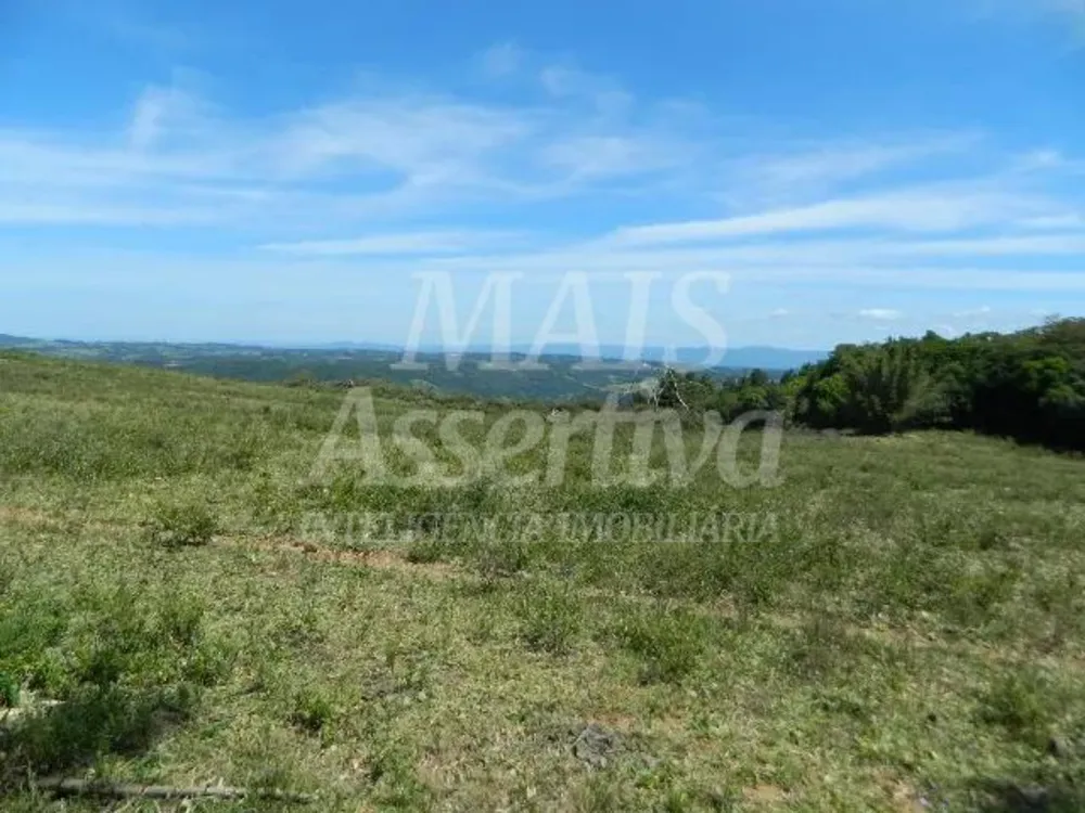 Chácara, 14 hectares - Foto 1