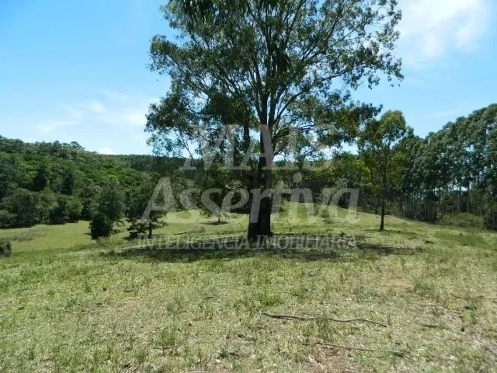 Chácara, 14 hectares - Foto 4