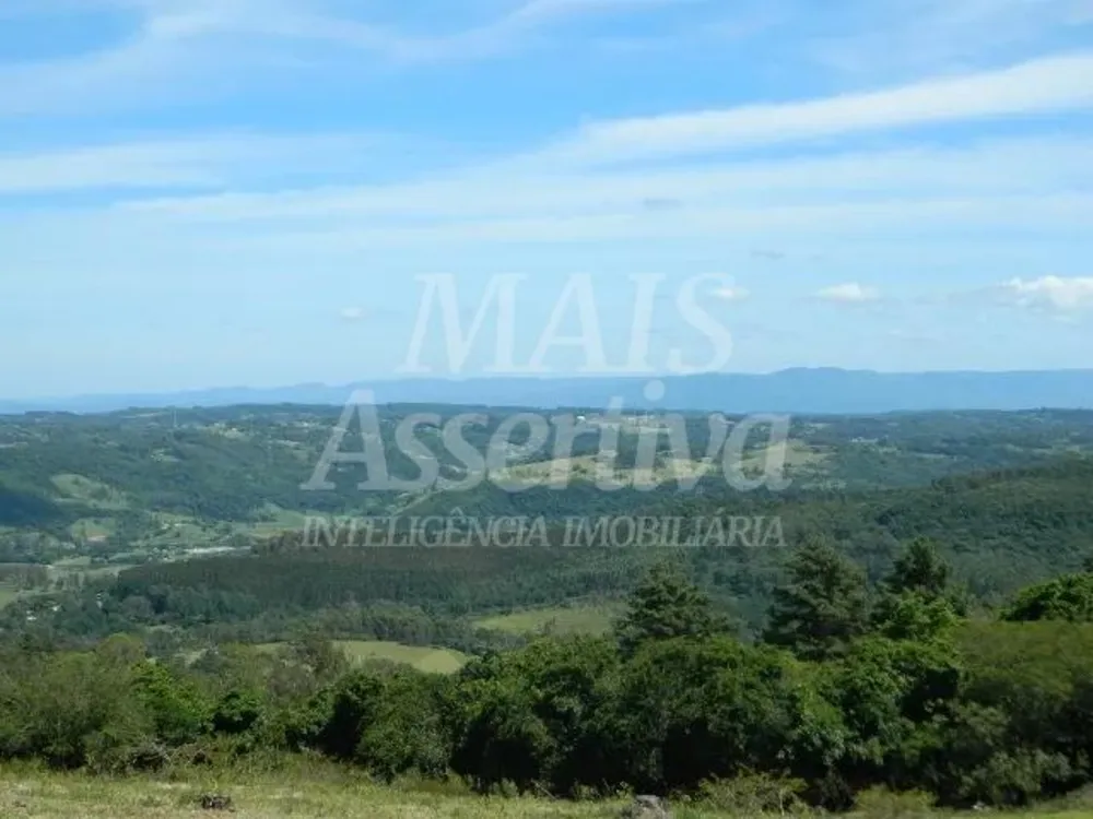 Chácara, 14 hectares - Foto 7