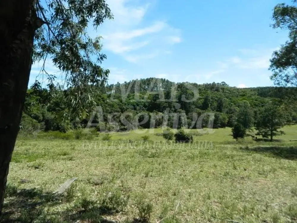 Chácara, 14 hectares - Foto 3