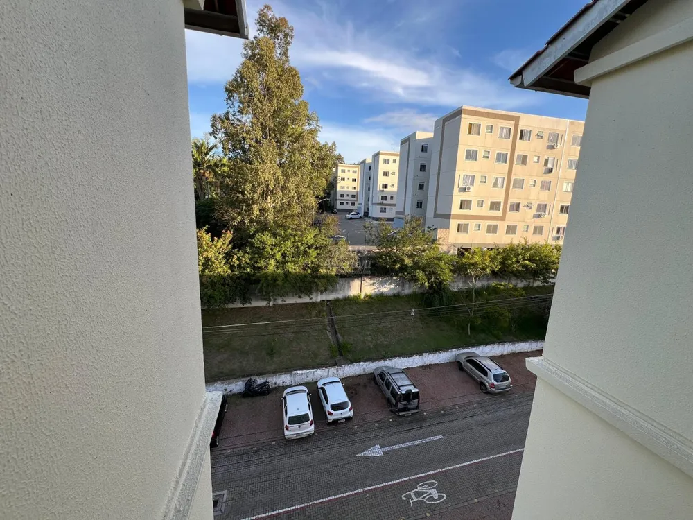 Sítio, 3 quartos, 1520 m² - Foto 7