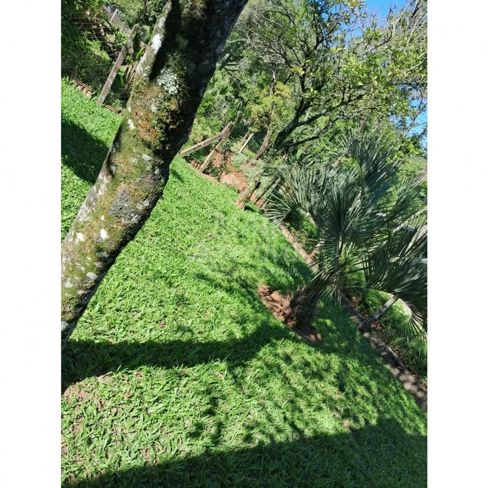 Sítio, 3 quartos, 1520 m² - Foto 9