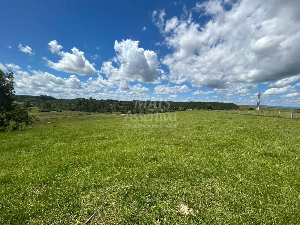 Chácara, 4 hectares - Foto 1