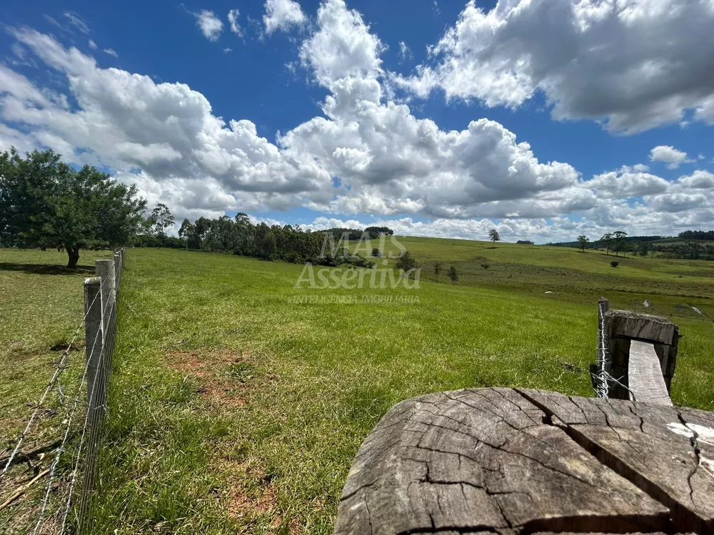 Chácara, 4 hectares - Foto 4