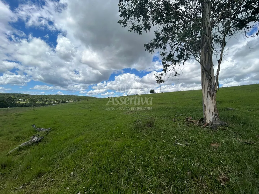 Chácara, 4 hectares - Foto 2