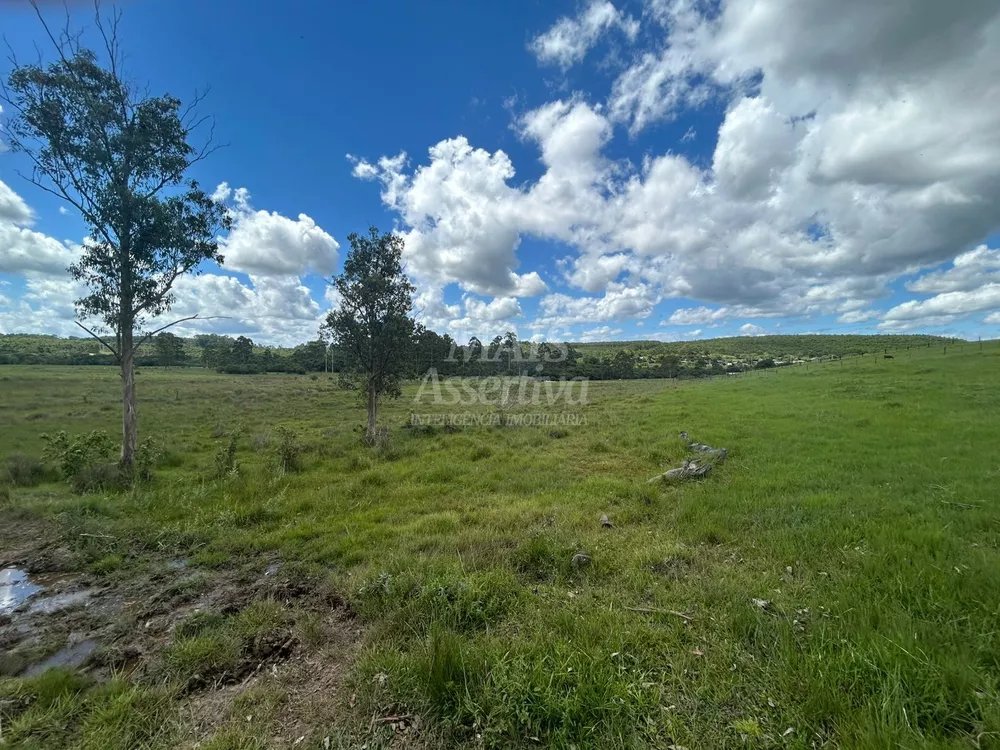 Chácara, 4 hectares - Foto 3