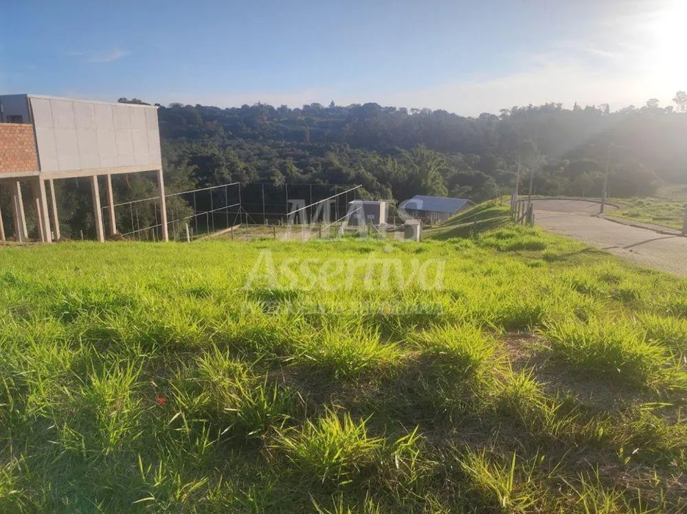Terreno, 300 m² - Foto 3