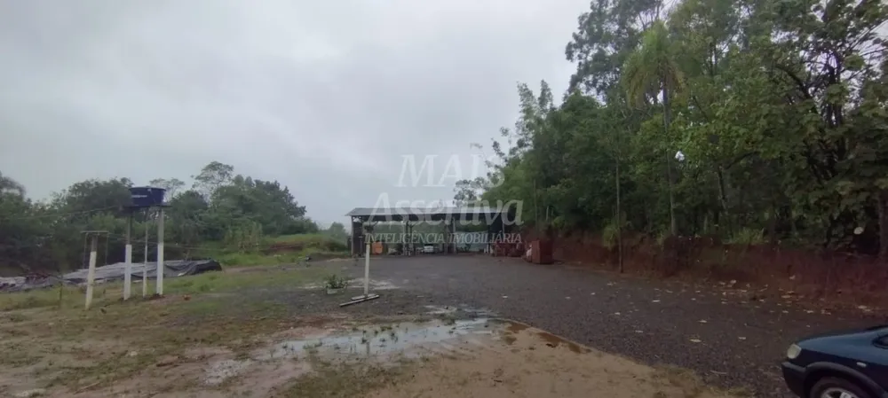 Chácara, 3 quartos, 3000 m² - Foto 5