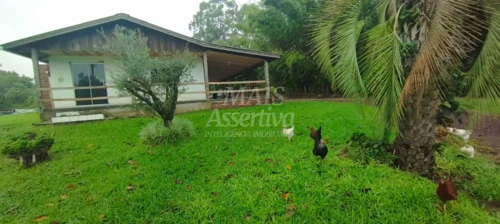 Chácara, 3 quartos, 3000 m² - Foto 6