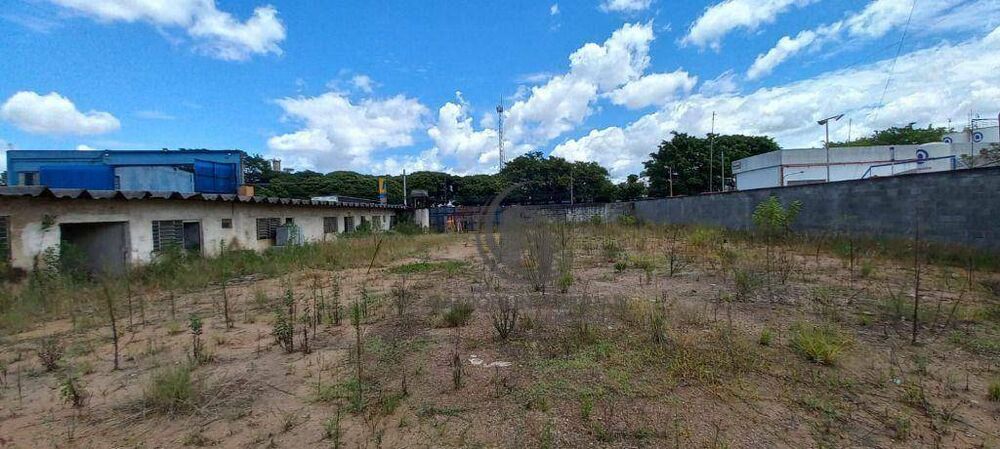 Terreno, 8000 m² - Foto 8