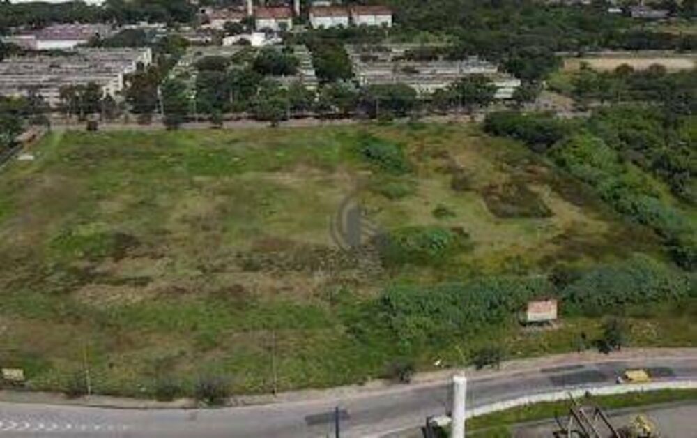 Terreno, 2 hectares - Foto 6