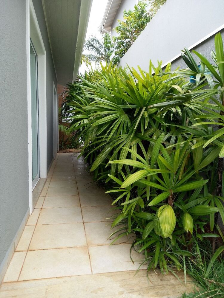 Casa, 4 quartos, 326 m² - Foto 2