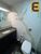 Cobertura, 4 quartos, 350 m² - Foto 4