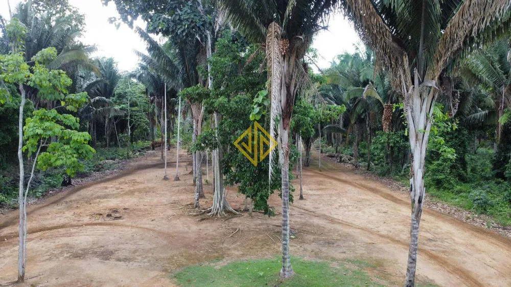 Chácara, 4796 m² - Foto 10
