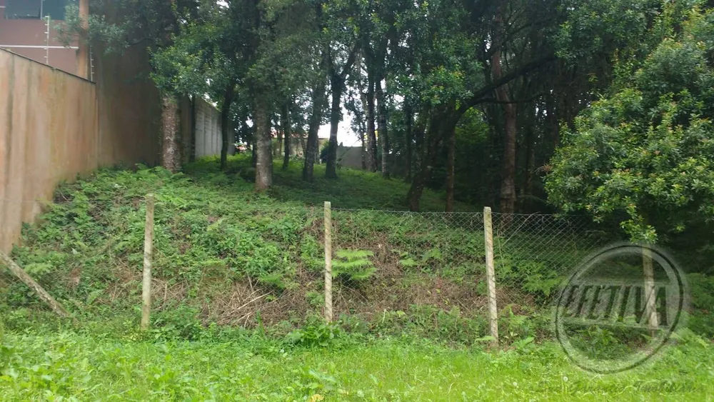 Terreno, 495 m² - Foto 7