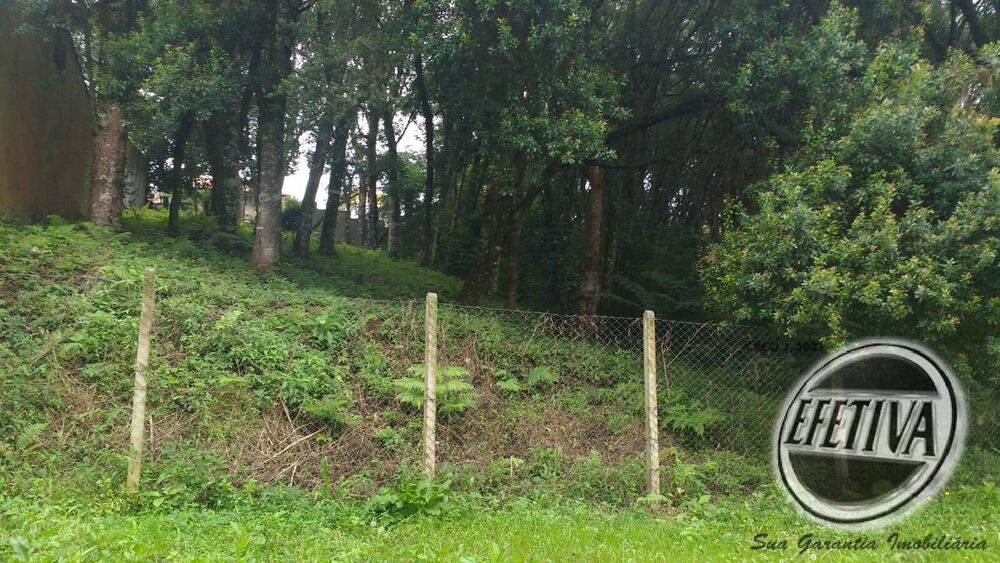 Terreno, 495 m² - Foto 4