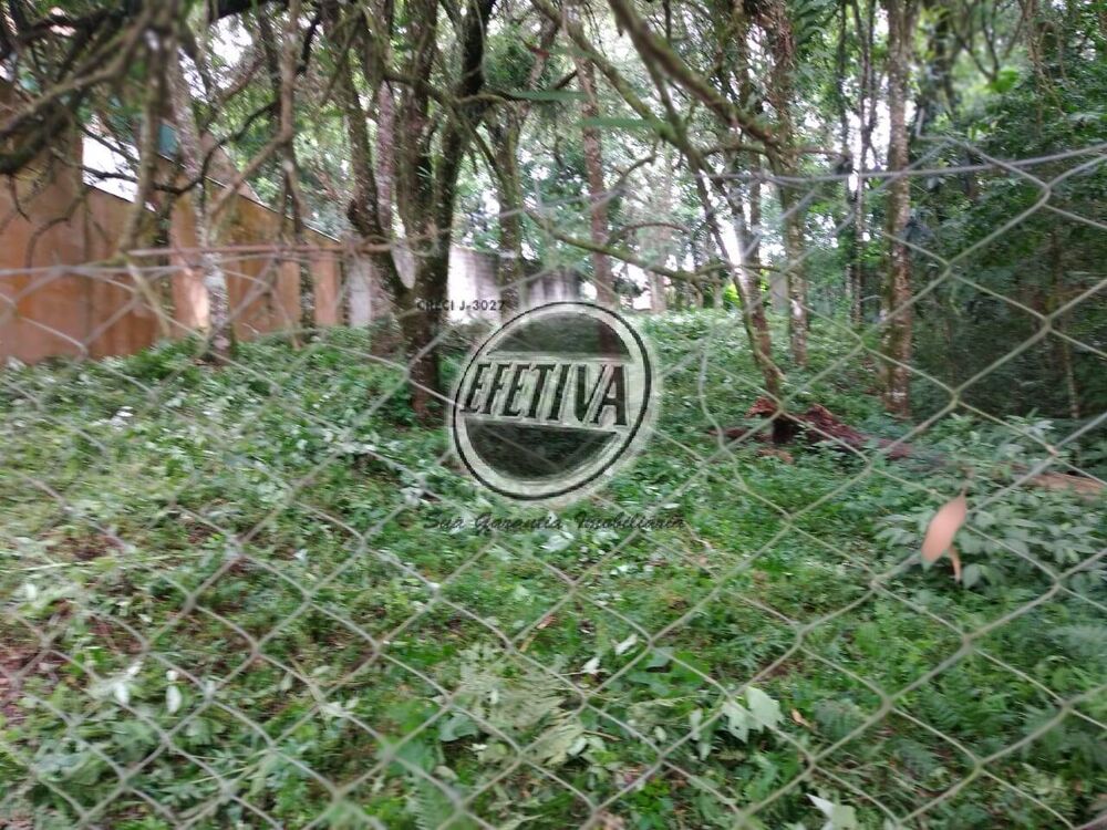 Terreno, 495 m² - Foto 6