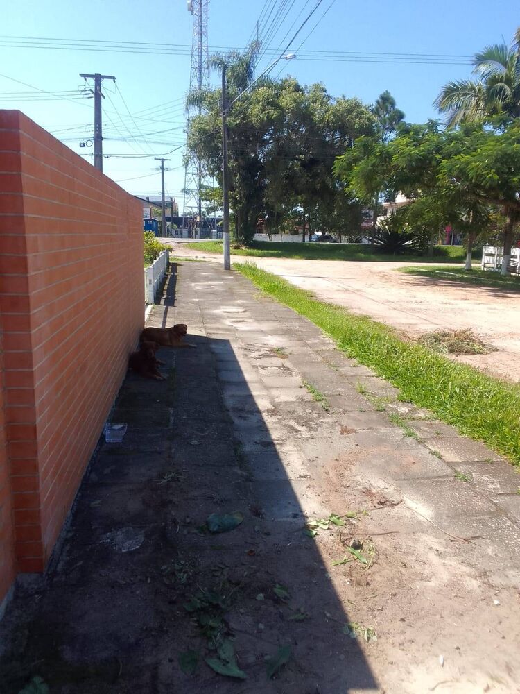 Casa, 3 quartos, 120 m² - Foto 8