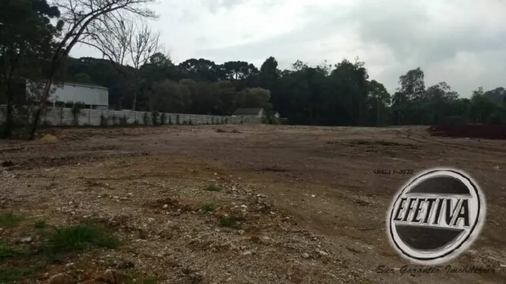 Terreno, 4784 m² - Foto 1