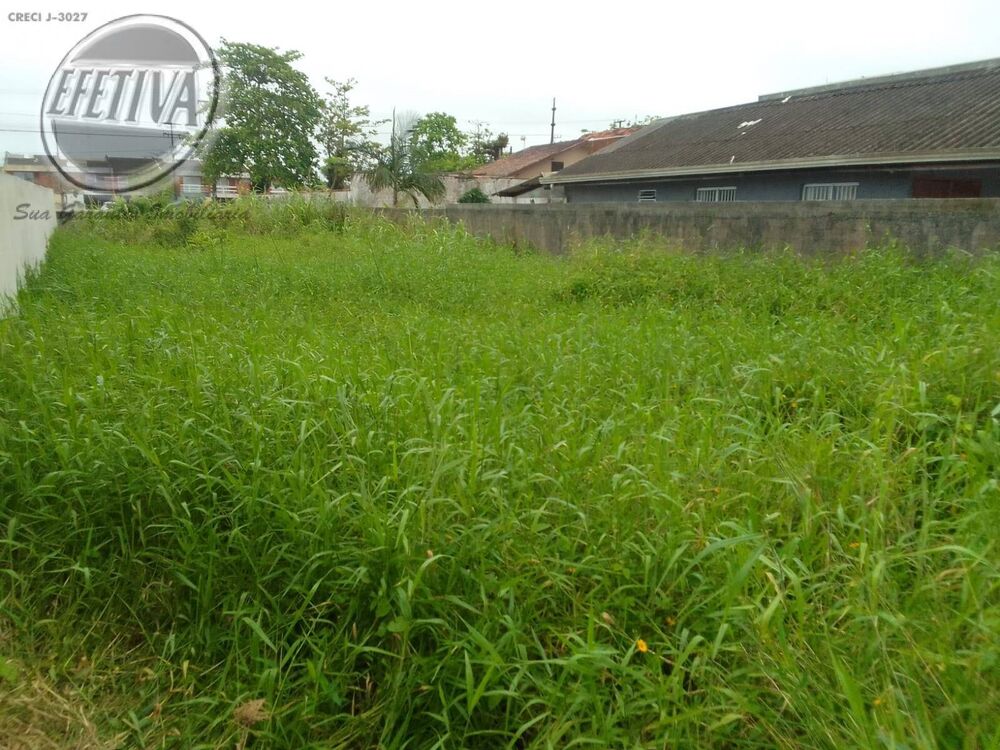 Terreno, 314 m² - Foto 3