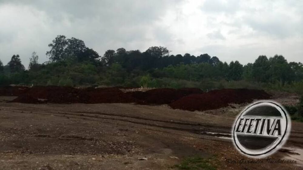 Terreno à venda, 4784m² - Foto 4