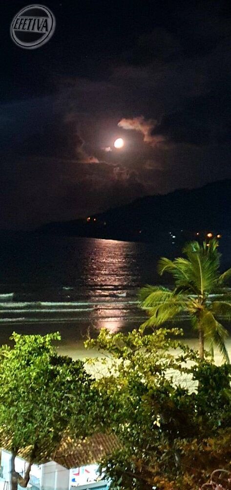 Cobertura, 4 quartos, 578 m² - Foto 8