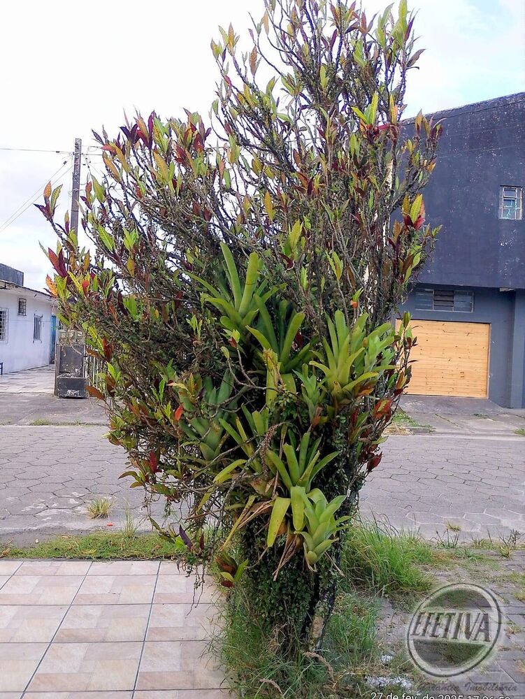 Sobrado, 4 quartos, 160 m² - Foto 3