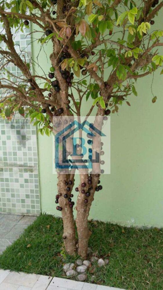 Casa, 3 quartos, 75 m² - Foto 18