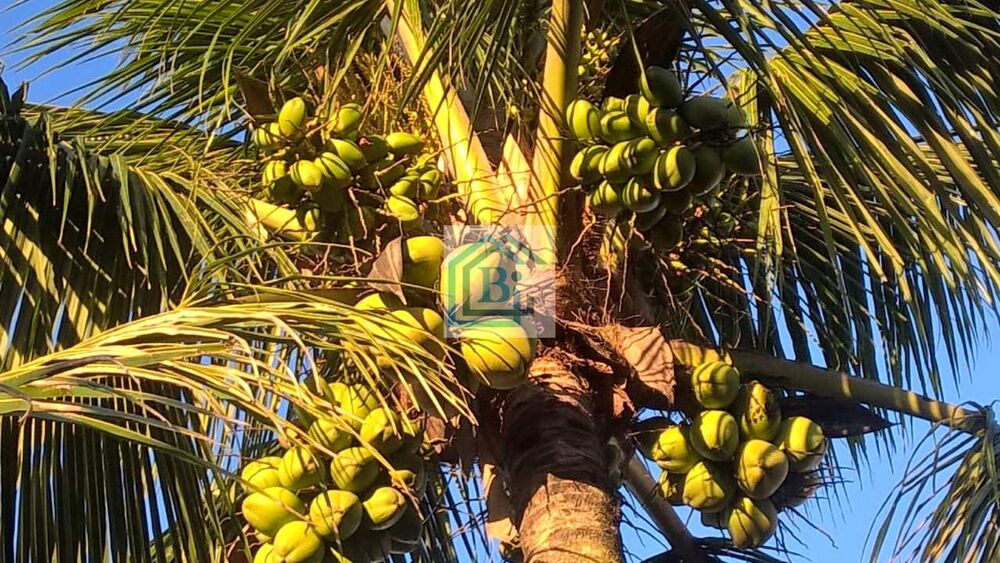 Casa, 3 quartos, 200 m² - Foto 13