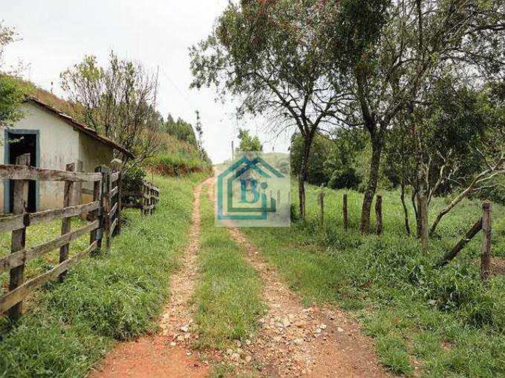 Fazenda, 182 hectares - Foto 3