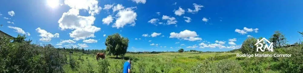 Fazenda, 126 hectares - Foto 44