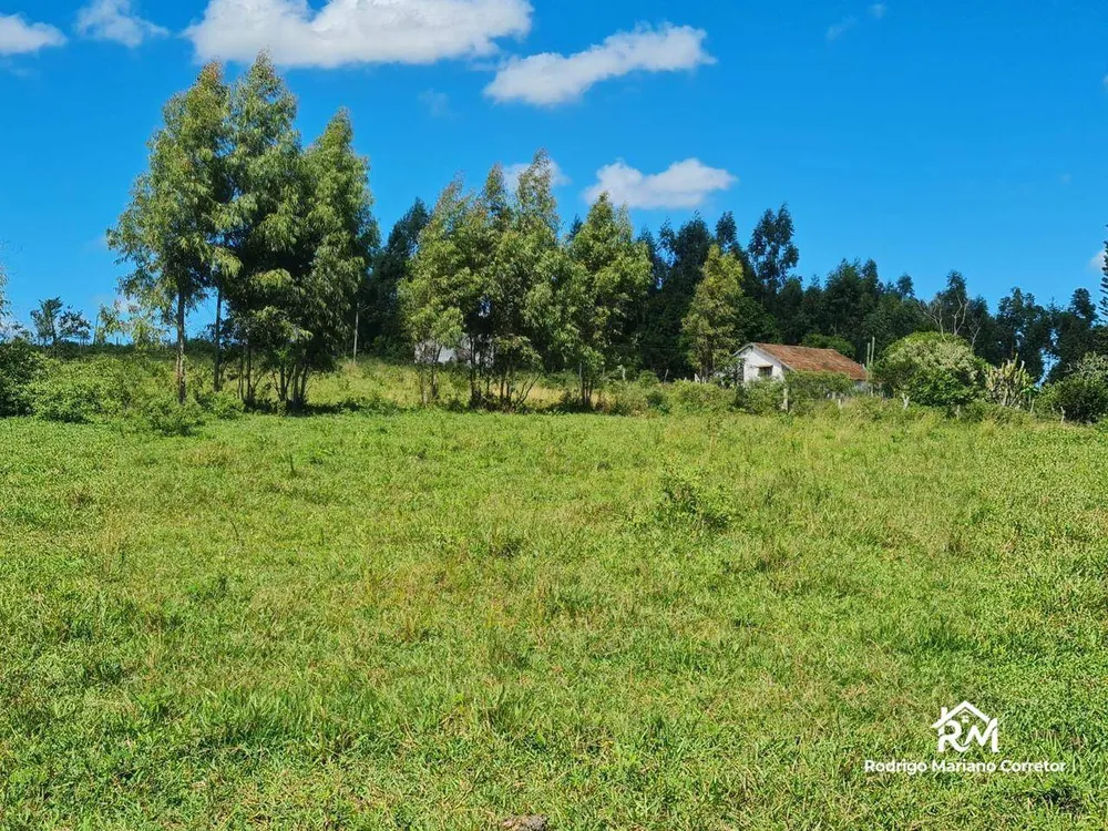 Fazenda, 126 hectares - Foto 38