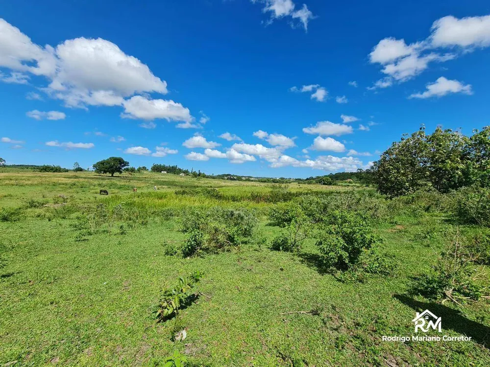 Fazenda, 126 hectares - Foto 47
