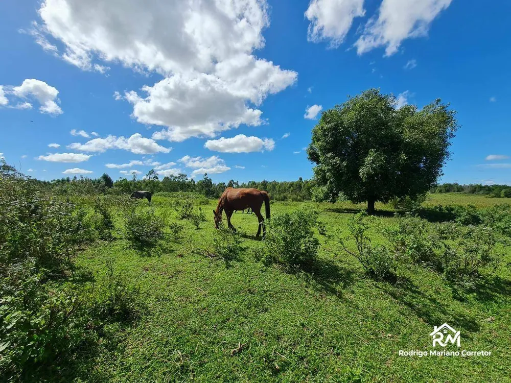 Fazenda, 126 hectares - Foto 49