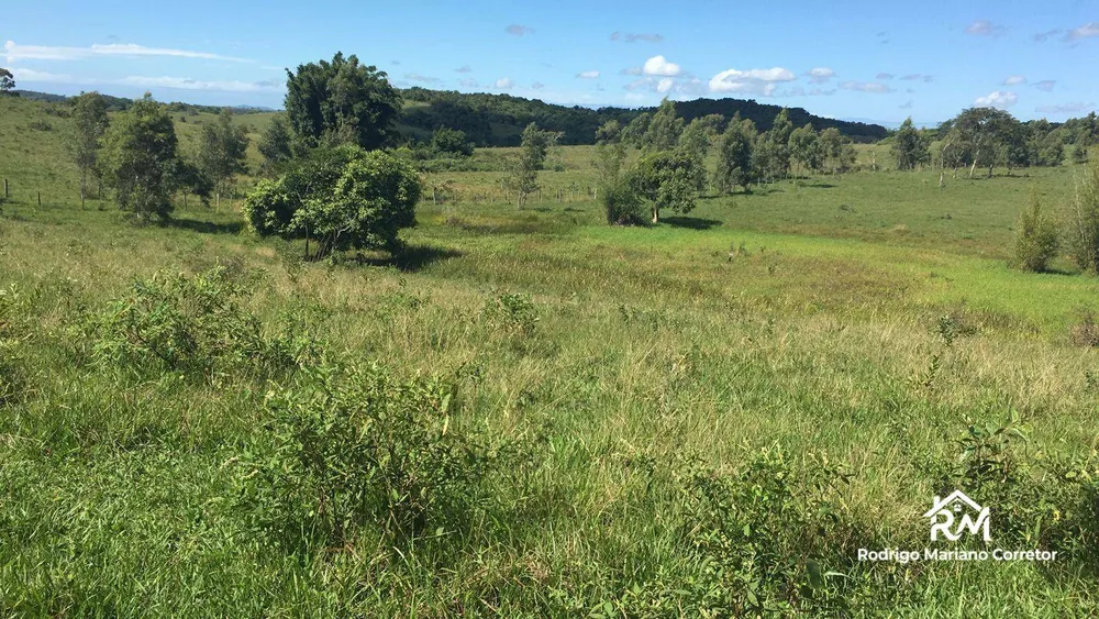 Fazenda, 126 hectares - Foto 10
