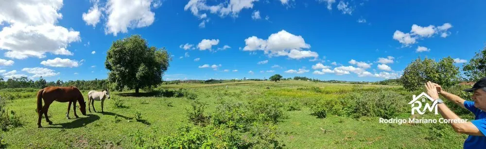 Fazenda, 126 hectares - Foto 59