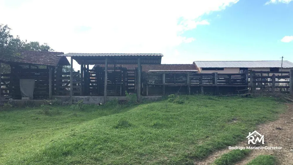 Fazenda, 126 hectares - Foto 5