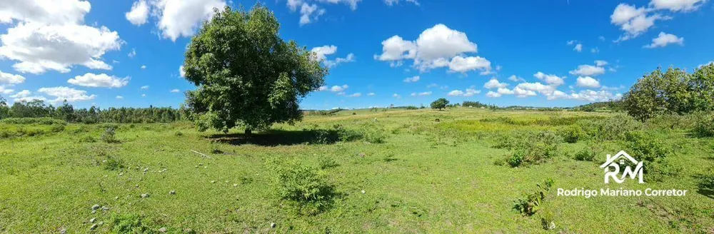 Fazenda, 126 hectares - Foto 61