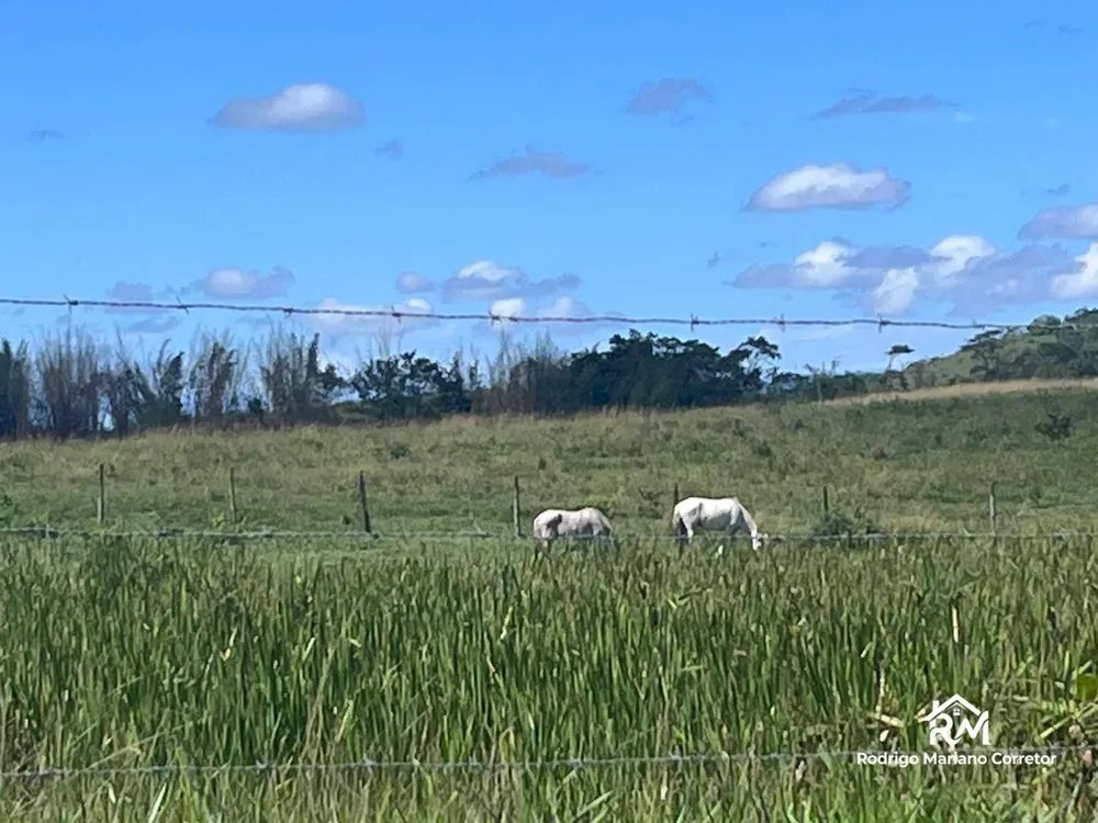 Fazenda, 126 hectares - Foto 23