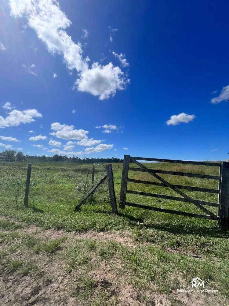 Fazenda, 126 hectares - Foto 26